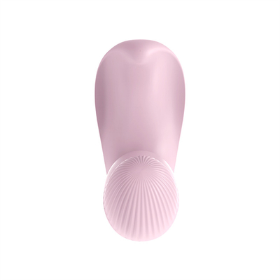 Remote Control Wanita Masturbator Vibrator Mainan Panties Vibrator Untuk Wanita