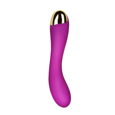 10 Kecepatan Dildo Vibrator USB Isi ulang G Spot Vibrator Klitoris Pijat Untuk Wanita