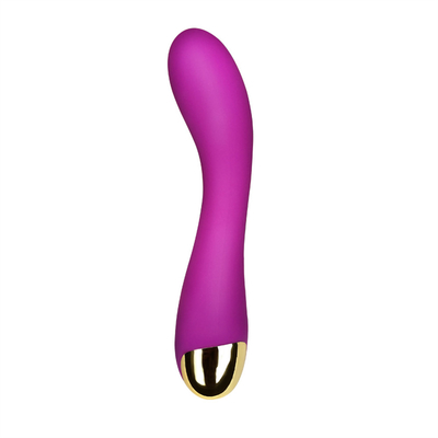 10 Kecepatan Dildo Vibrator USB Isi ulang G Spot Vibrator Klitoris Pijat Untuk Wanita
