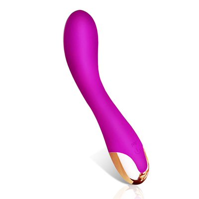 10 Kecepatan Dildo Vibrator USB Isi ulang G Spot Vibrator Klitoris Pijat Untuk Wanita