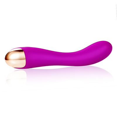 10 Kecepatan Dildo Vibrator USB Isi ulang G Spot Vibrator Klitoris Pijat Untuk Wanita