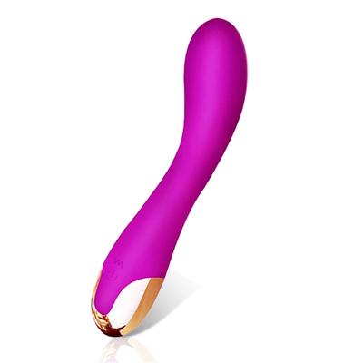 10 Kecepatan Dildo Vibrator USB Isi ulang G Spot Vibrator Klitoris Pijat Untuk Wanita
