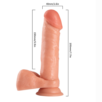 PVC Realistis Dildo Dengan Dual Density Anal Plugs Suction Cup Kuda Dildo Sex Toys Online Shop Amerika Penis buatan
