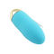 100% Silicone Peluru Telur Vibrator Tahan Air Bluetooth Vibrator Telur Vibrator