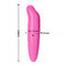 Pink G Spot Vibrator Pocket Rocket Dolphin Wanita Sex Toy Vibrator