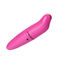 Pink G Spot Vibrator Pocket Rocket Dolphin Wanita Sex Toy Vibrator