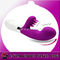 Mainan Seks Silikon Tahan Air G-Spot Klitoris Stimulasi Getaran Seks Untuk Wanita