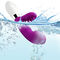 Terbaru 10 Kecepatan Berduri G Spot Vibrator Tahan Air Oral Clit Vibrator Untuk Wanita